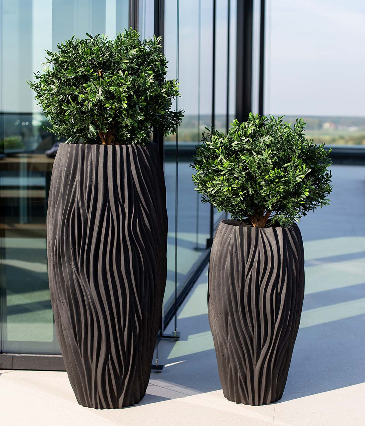 RIVER Pflanzkübel mit Olivenbäumen auf Dachterrasse
