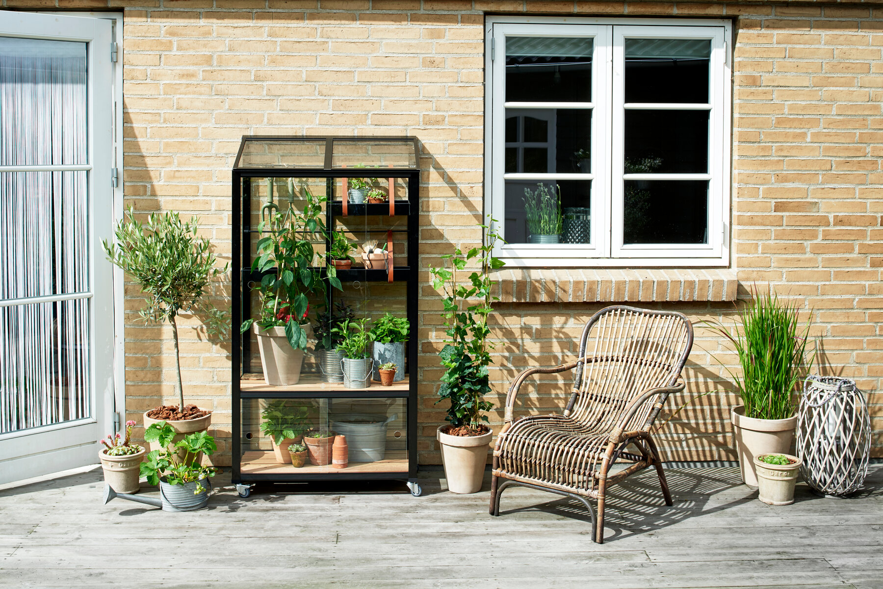 Juliana City Greenhouse – Regal-Gewächshaus auf Terrasse