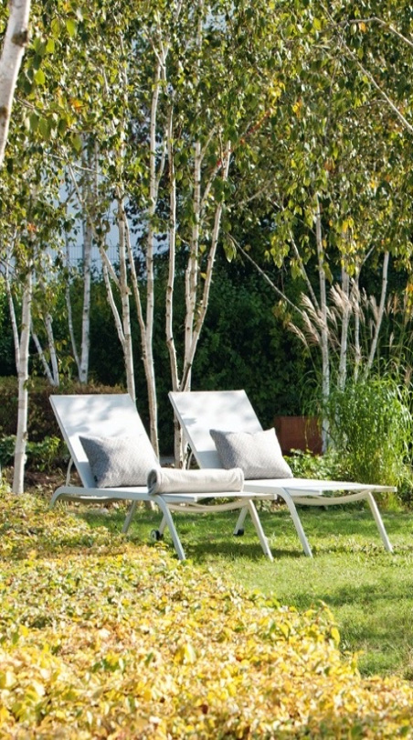 White Gardens – Liegen auf Rasen zwischen Birken